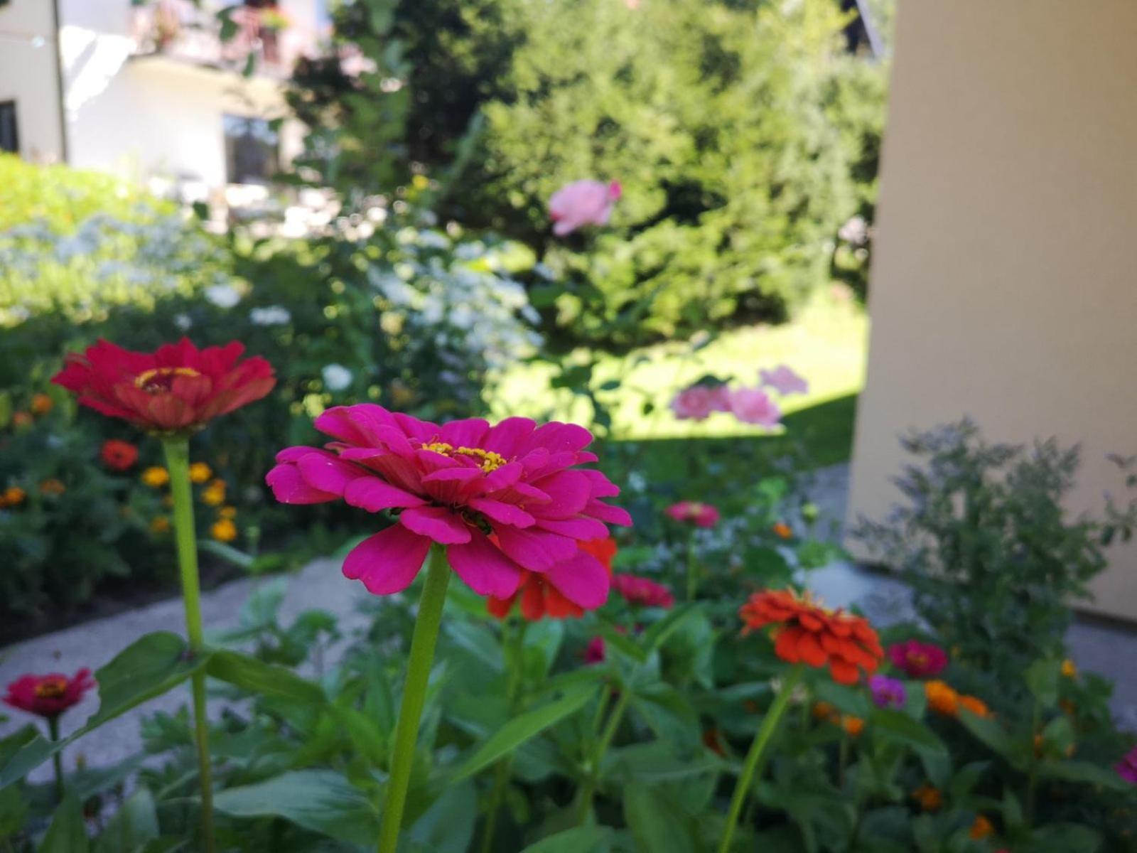Jankovic Apartment Zlatibor