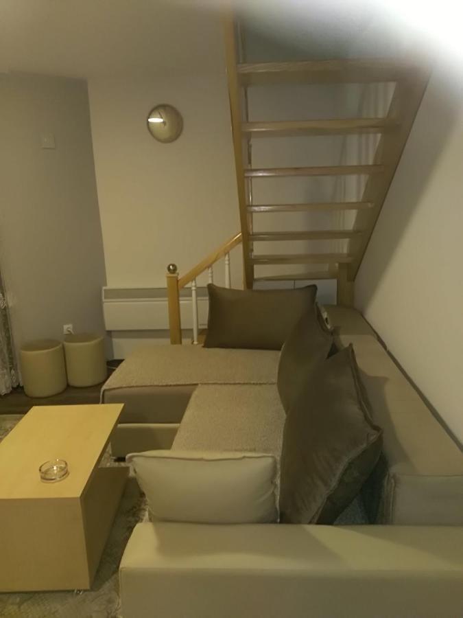 Jankovic Apartment